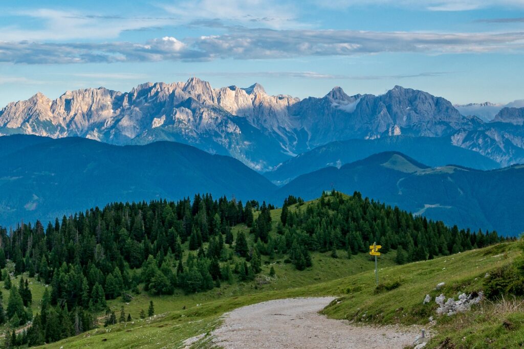 Wolf, Bär, Luchs und Naturtourismus