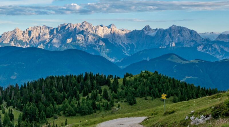Wolf, Bär, Luchs und Naturtourismus