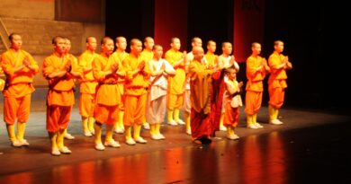 Die Mönche des Shaolin Kung Fu