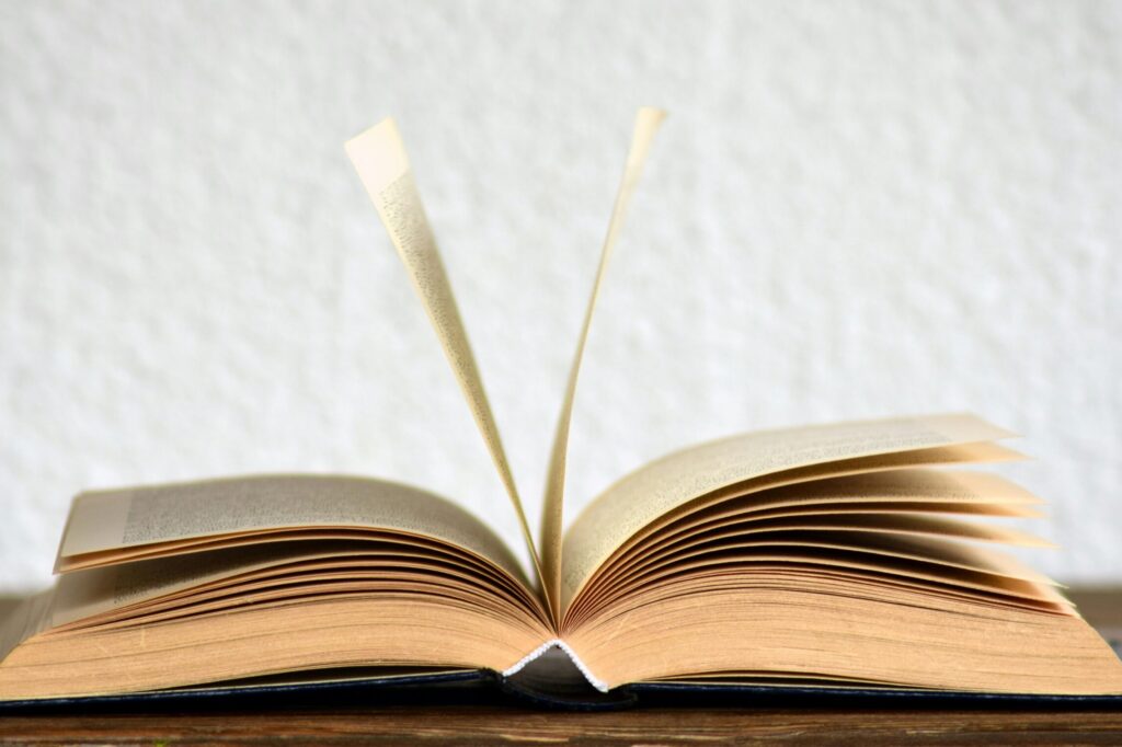 Literatur im Dinzlschloss: Janko Ferk