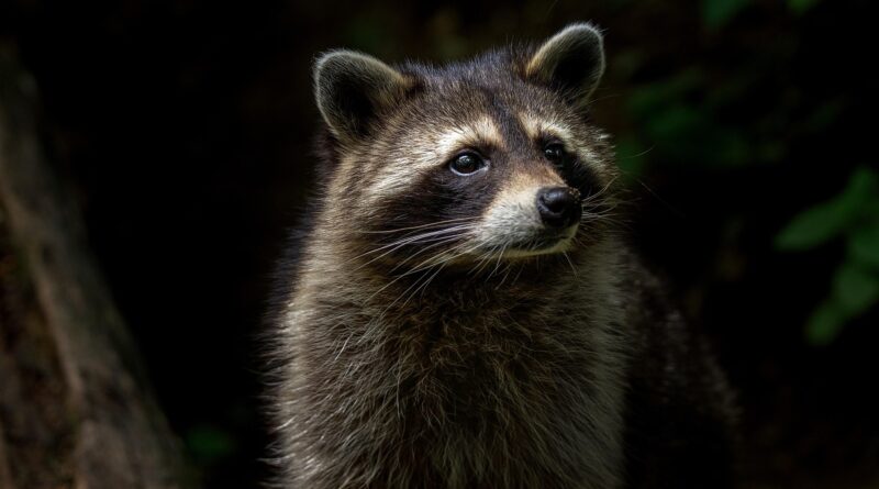 Aleksandra und Martin