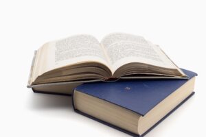 Lesung Ulrike Draesner