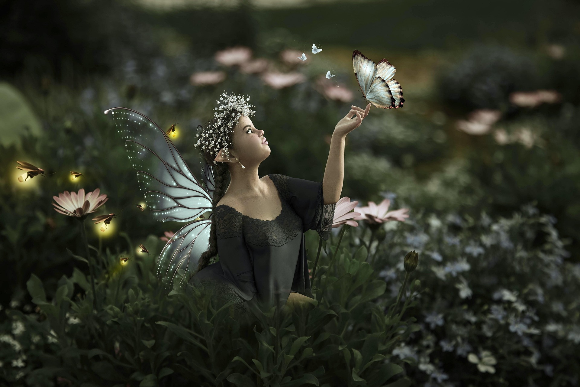 SODL | Support: Sage Darley