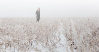 Katharina Acht - Übergänge