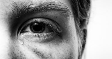 Verlust, Trauma und Nervensystem