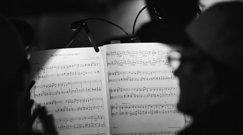 Sonnensittich - Film und Musik