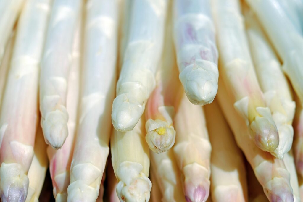 Alles Spargel in Frierss Feines Haus