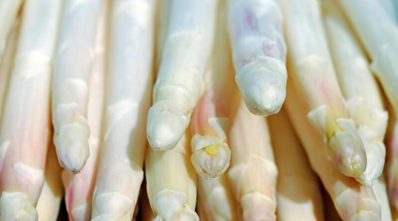 Alles Spargel