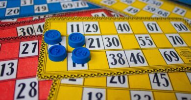 Bingo Show