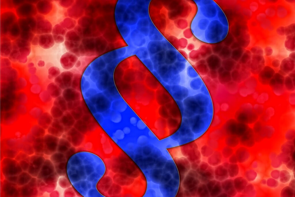 Chris Sandner & the Big G