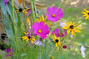 Villacher Blumenmarkt