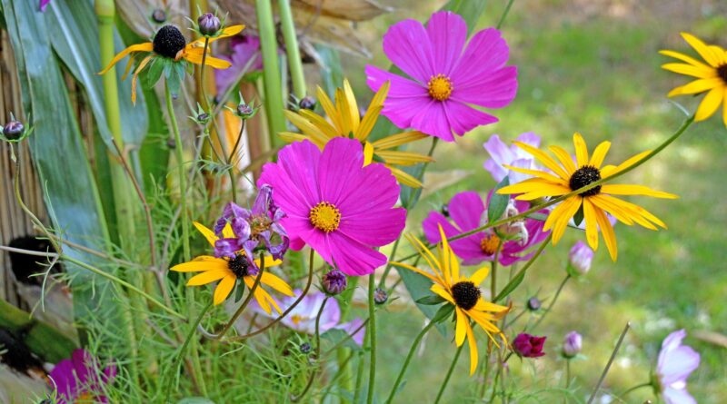 Villacher Blumenmarkt