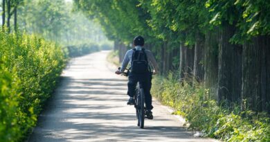 Wörthersee autofrei