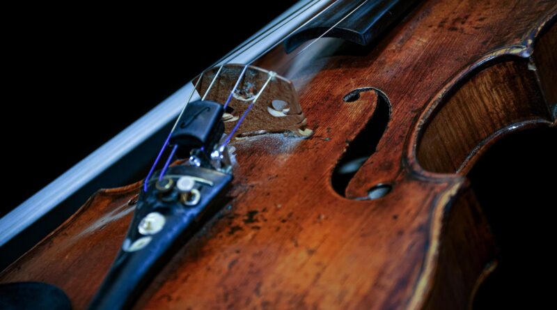 Luka Ljubas und Mitglieder der Wiener Philharmoniker