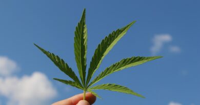 Cannabis in der Medizin