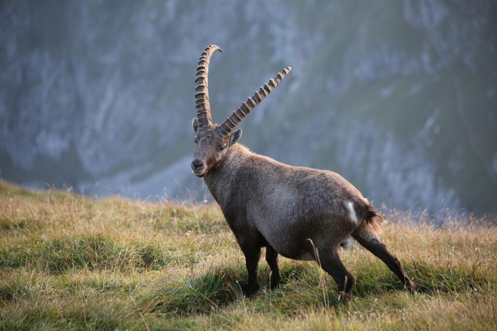 7. Nationalpark Familienfest