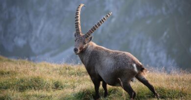 7. Nationalpark Familienfest