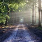 All about nature