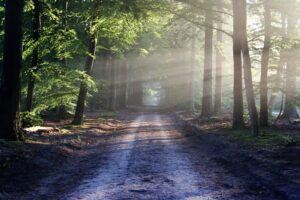 All about nature