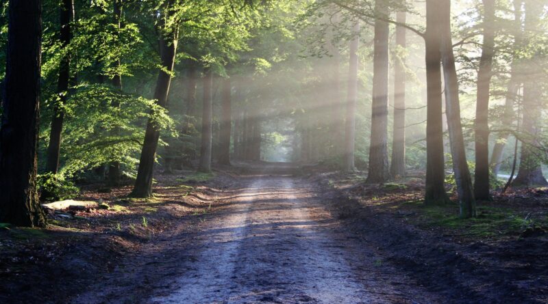 All about nature