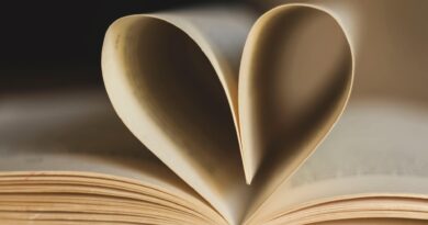 NEUE LITERATUR: Hanne Römer & Dieter Sperl