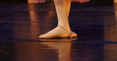 Galaabend der Tanzschule Kopeyko