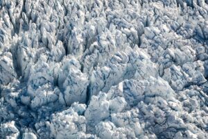 Gletscher, Fauna, Wege