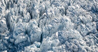 Gletscher, Fauna, Wege
