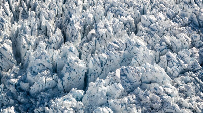 Gletscher, Fauna, Wege