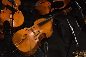Opern Sommerkonzert im Amthof