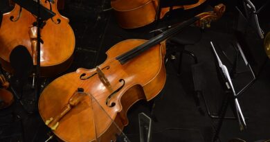Sommerkonzert Amthof