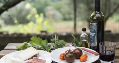 Picknick im Weingarten
