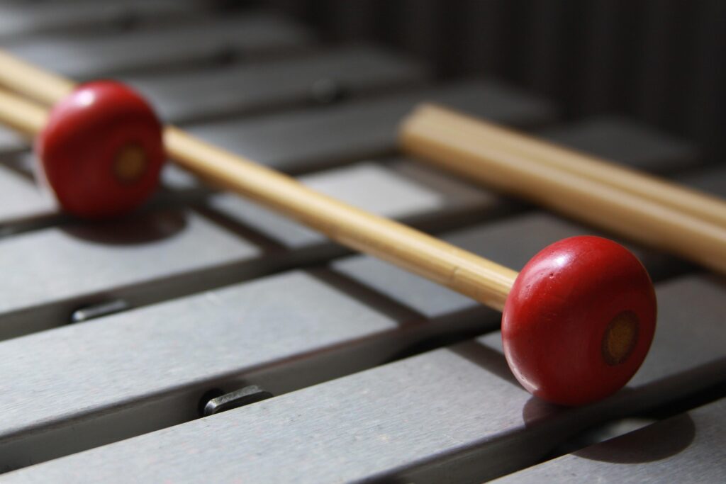 AlFa Duo Percussion & Friends