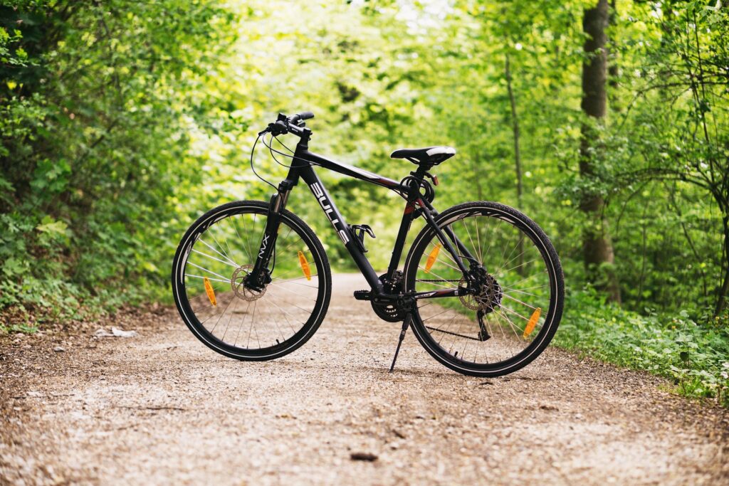 Radfahren durch das Naturjuwel Schütt