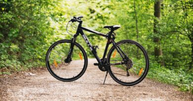 Radfahren durch das Naturjuwel Schütt