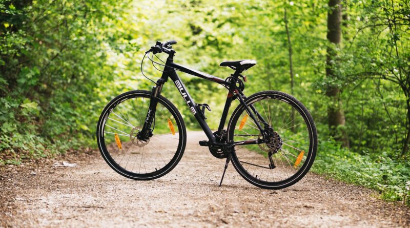 Radfahren durch das Naturjuwel Schütt