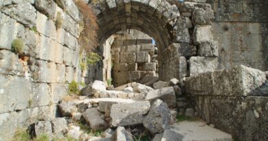 Feste für Dionysos