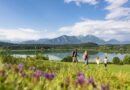 Kulturhistorische Wanderung auf der Gracarca