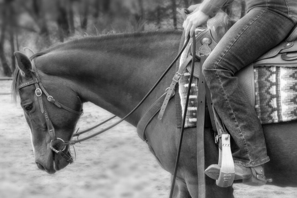 Landesmeisterschaften & Kärnten Cup im Westernreiten