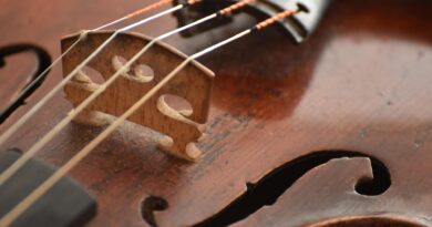 Sonusiade 5 – BACH & BOSNISCH