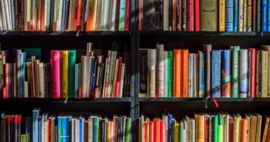 „Sommer-aus-alles-raus“-Bücherflohmarkt