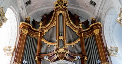 Orgelkonzert mit Elmo Cosentini