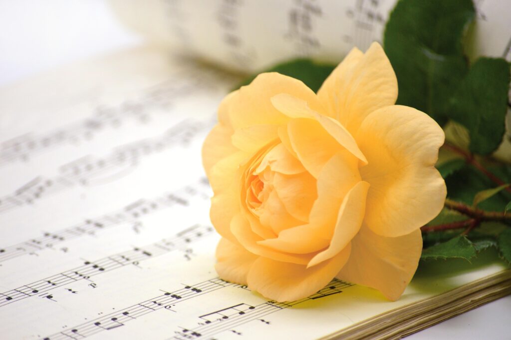 Defrost Youth Choir