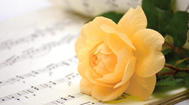 Defrost Youth Choir