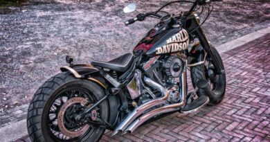 Custom Motorcylce Show
