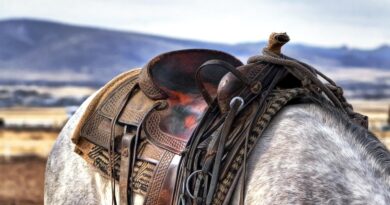 Ausstellung: Kärntner Cowboys