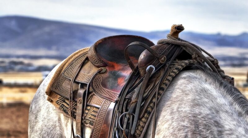 Ausstellung: Kärntner Cowboys