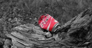 Plogging Villach