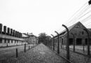 Dokumentarfilm: 3 Tage, 3 Monate, 3 Jahre