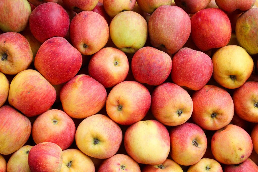 Streuobstfest für Groß und Klein